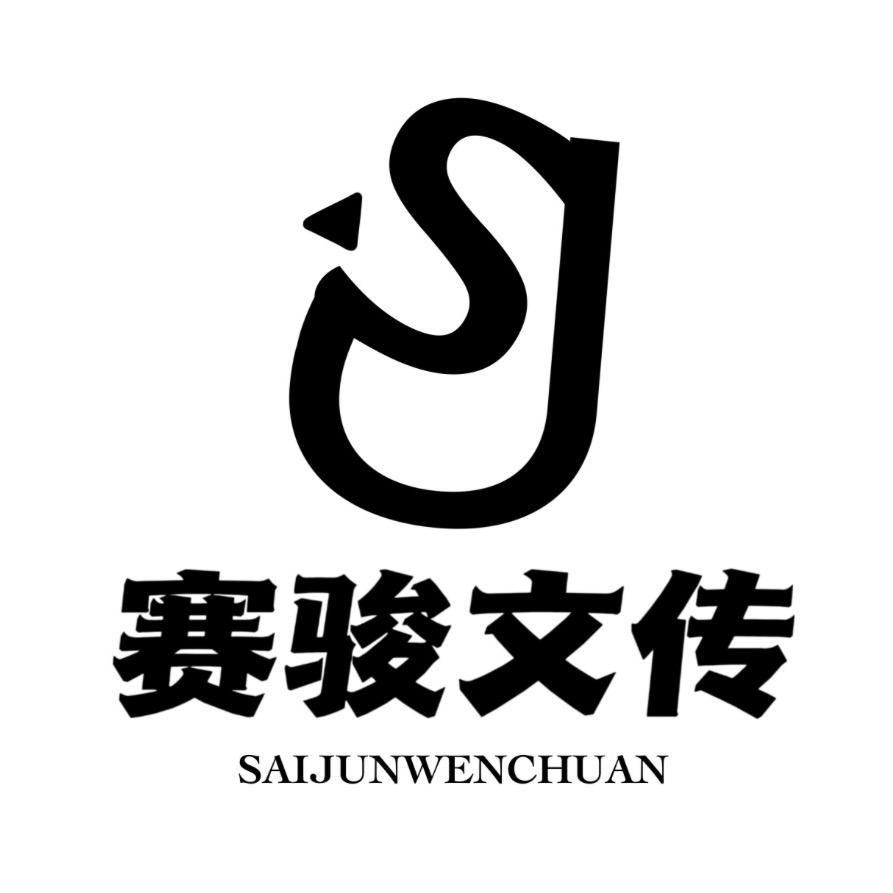 小赛看演出
