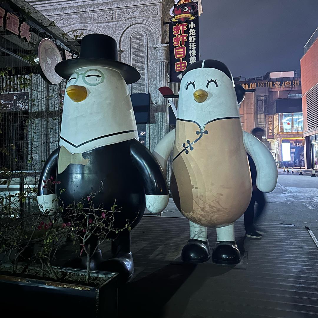 谁家的，带走别占地