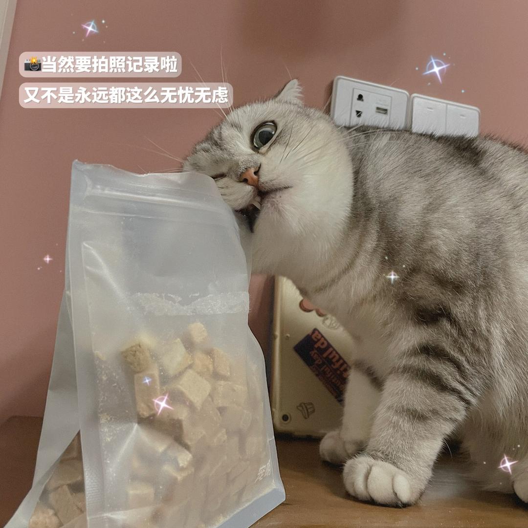 和珅乾隆是两只喵