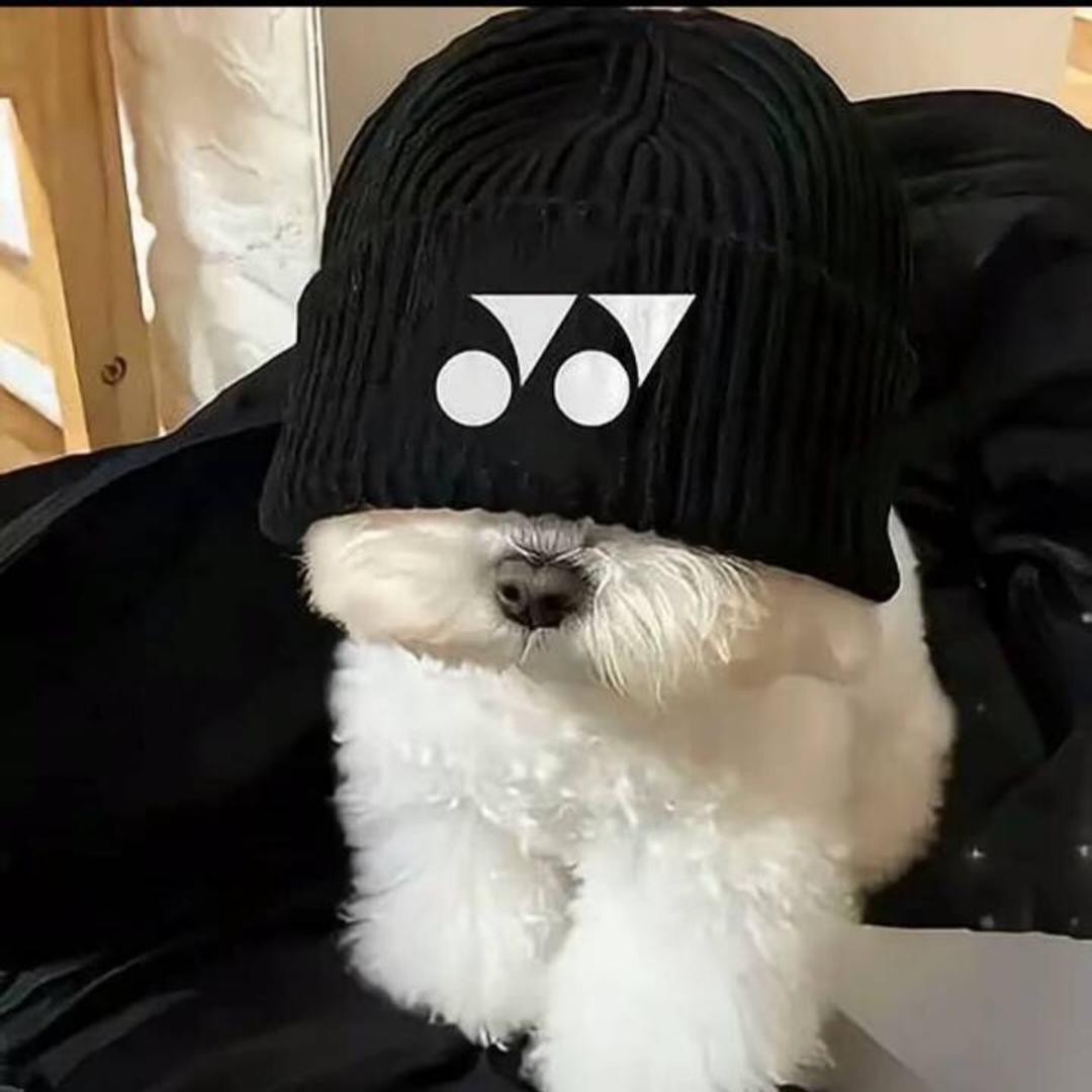 躺着也中枪y