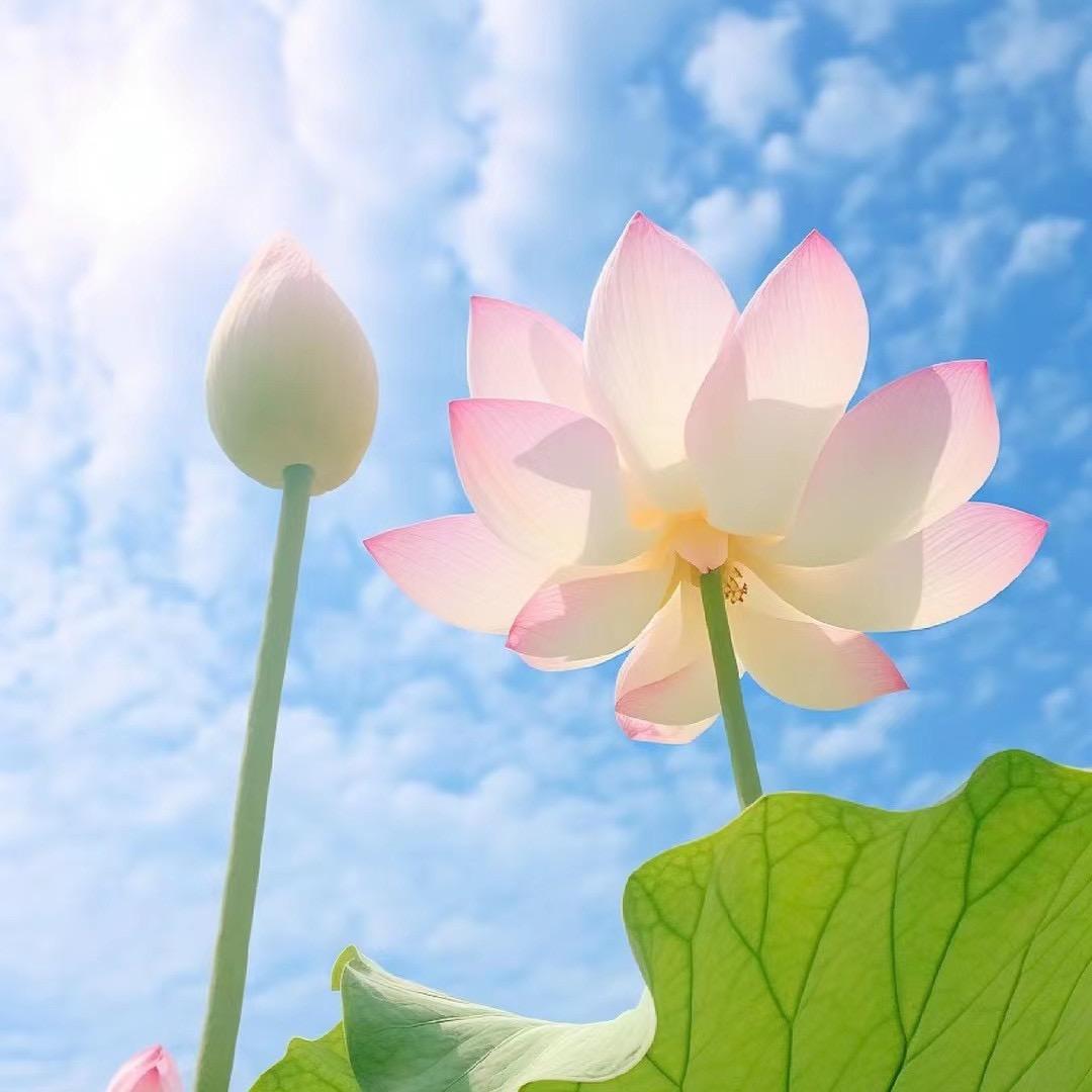 💞听এۣۖิ说糖很꧔ꦿ甜 ᭄