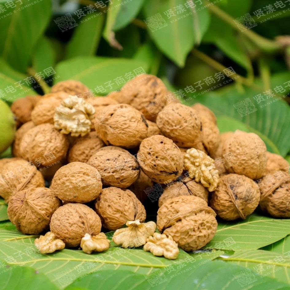 贤漾电子商务有限公司