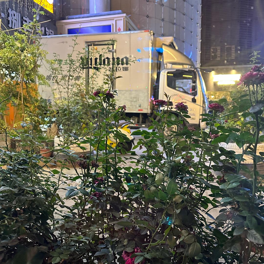 JIU999头像