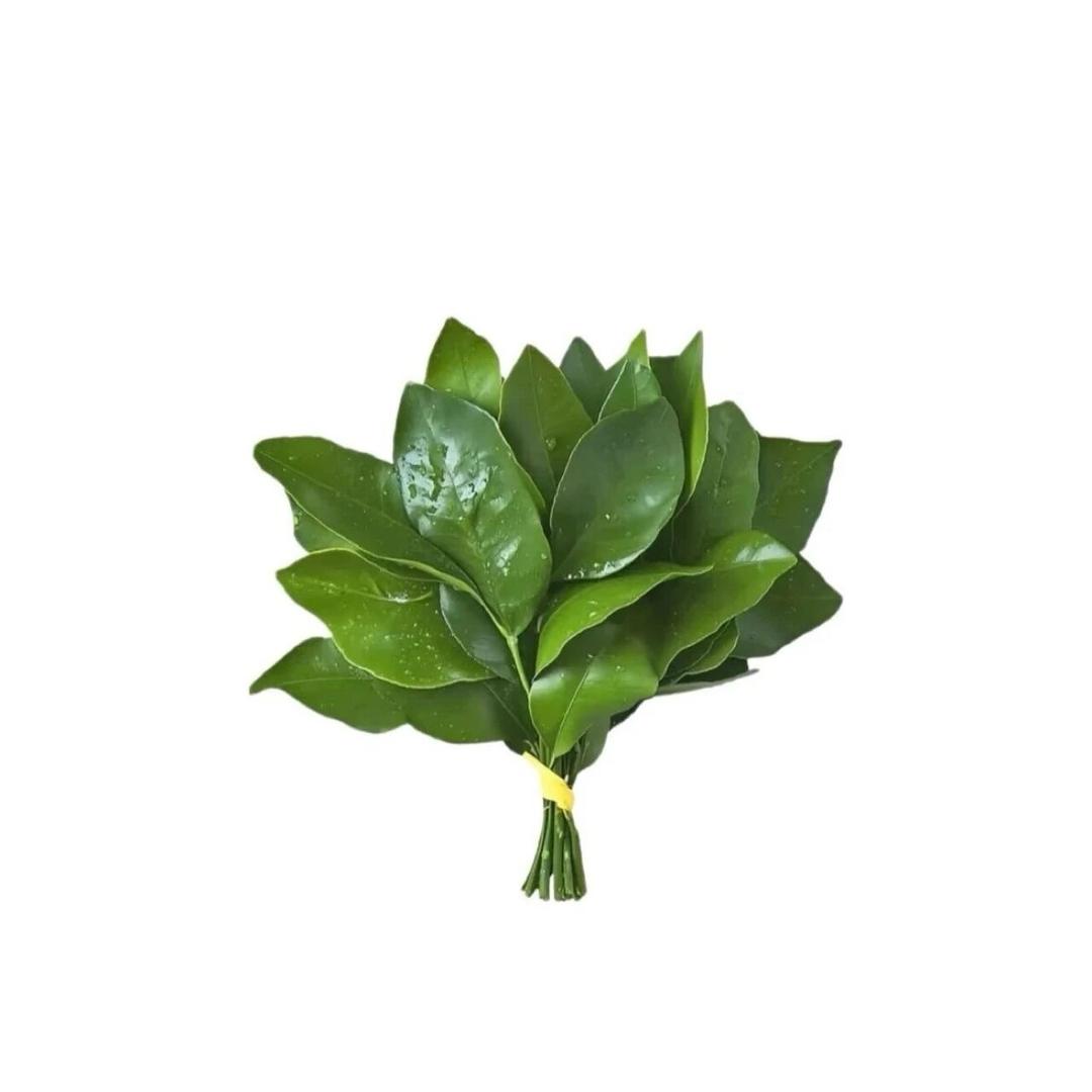 千栀宝宝