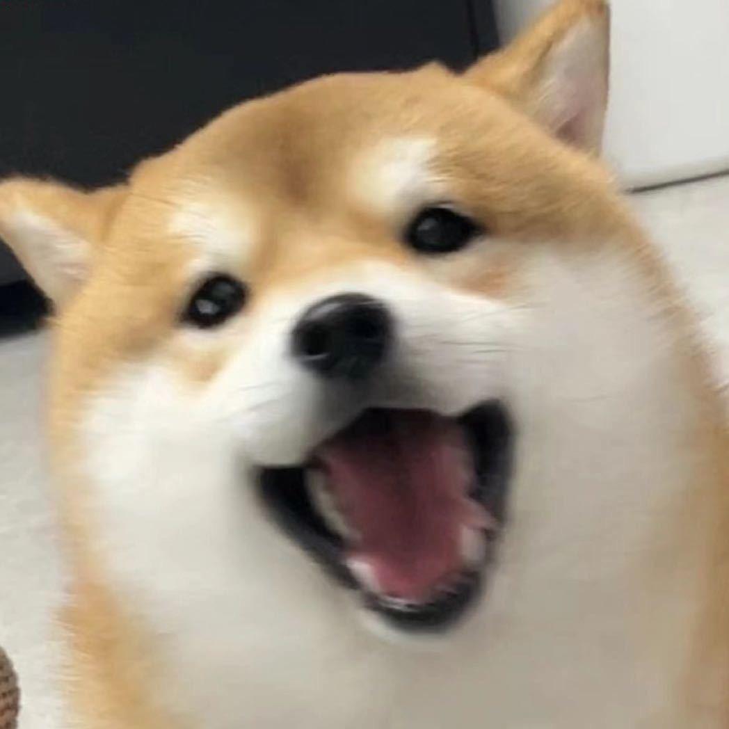 热乎烤地瓜🍠
