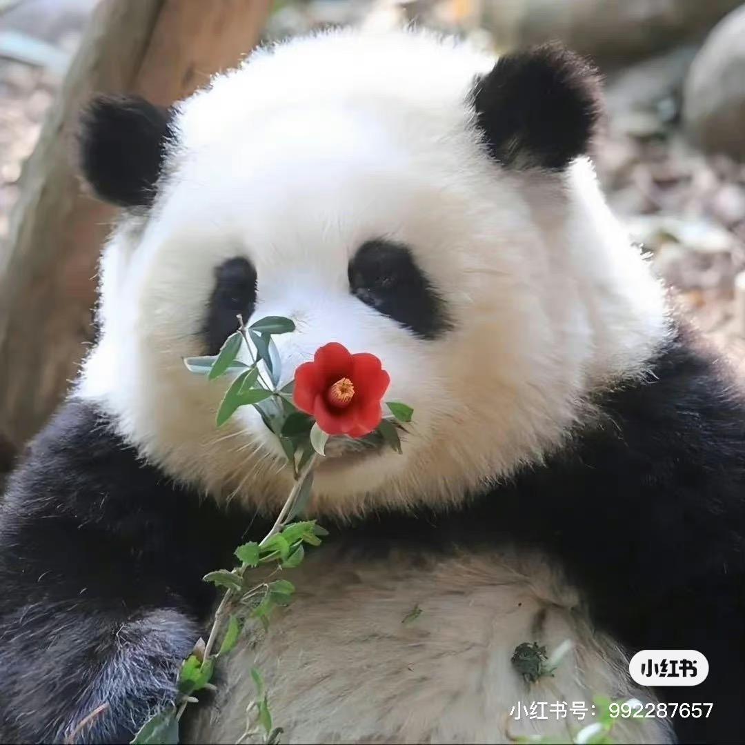 之后