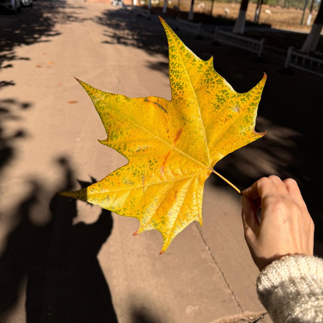 温暖的阳光