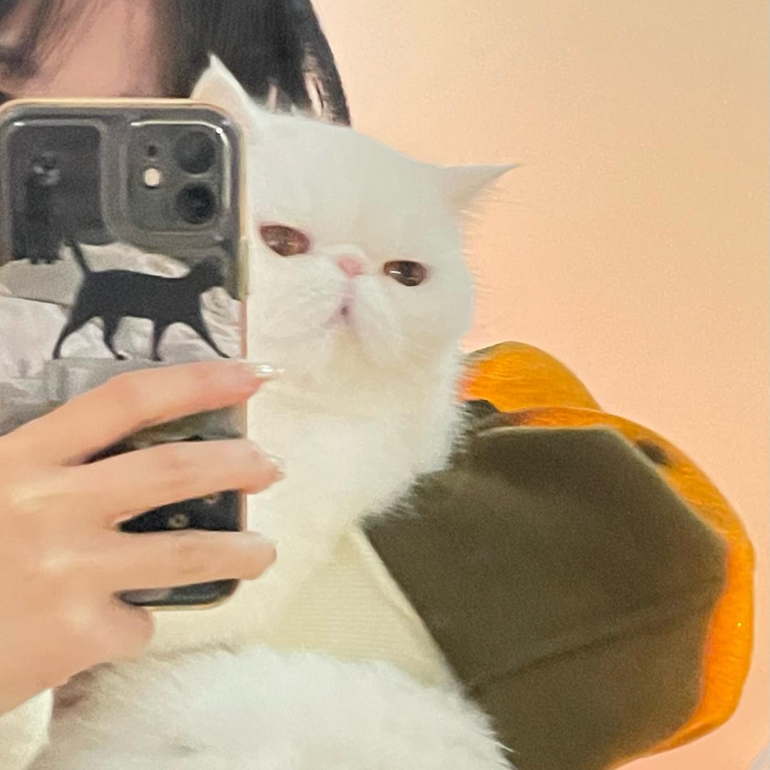 云云啥都有
