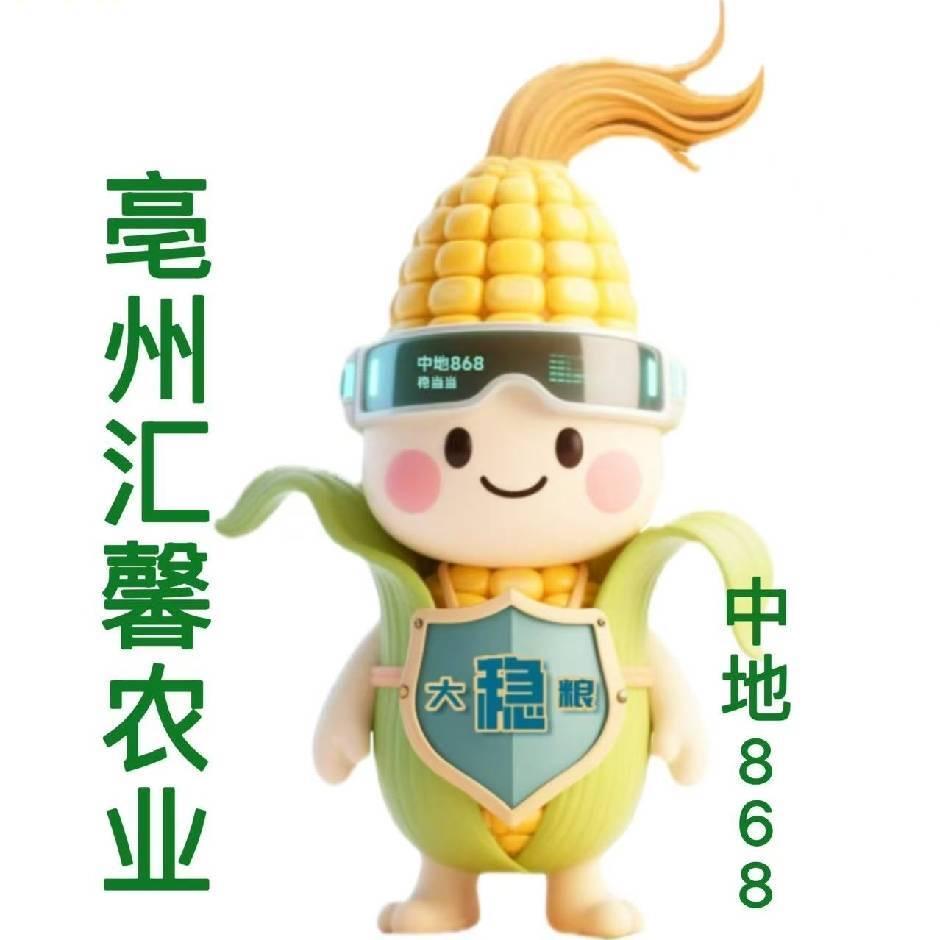 大稳粮中地868汇馨农业—罗小明