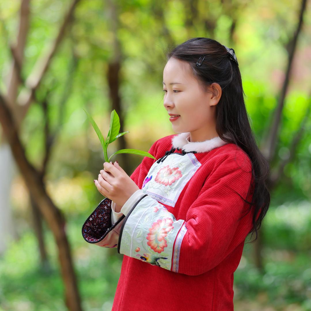 冰雁🎤（收徒）