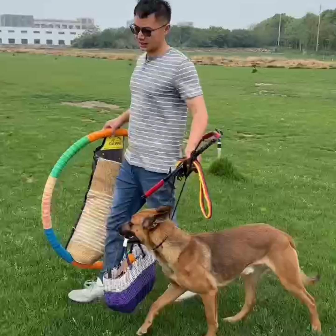 训犬师-王龙（招训犬师  训犬学员)