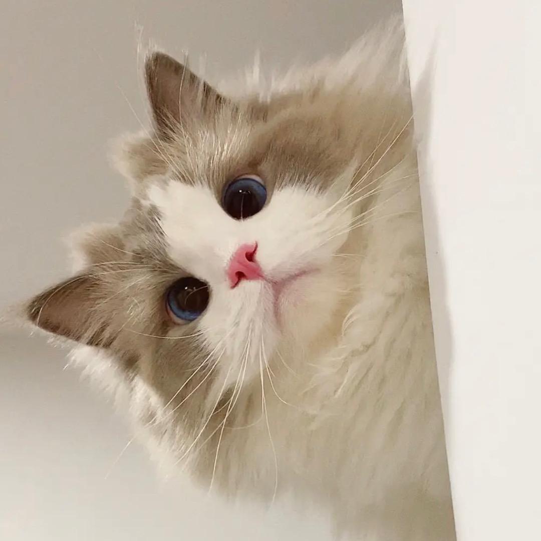 诗宇😶‍🌫️