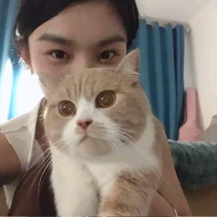 懒羊羊❤️