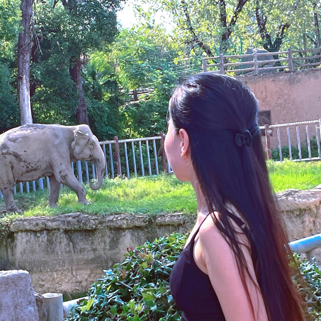 小乔温言（沉浸学习，你的AI同桌）