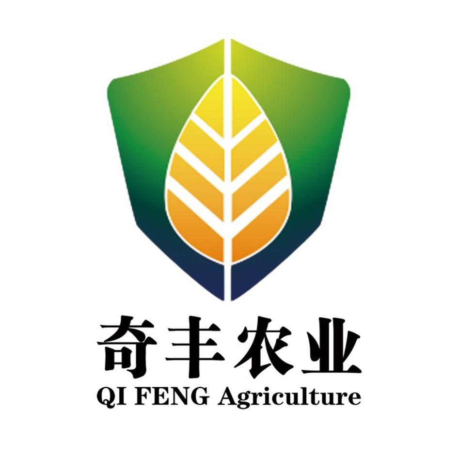 奇丰农业-小瑶