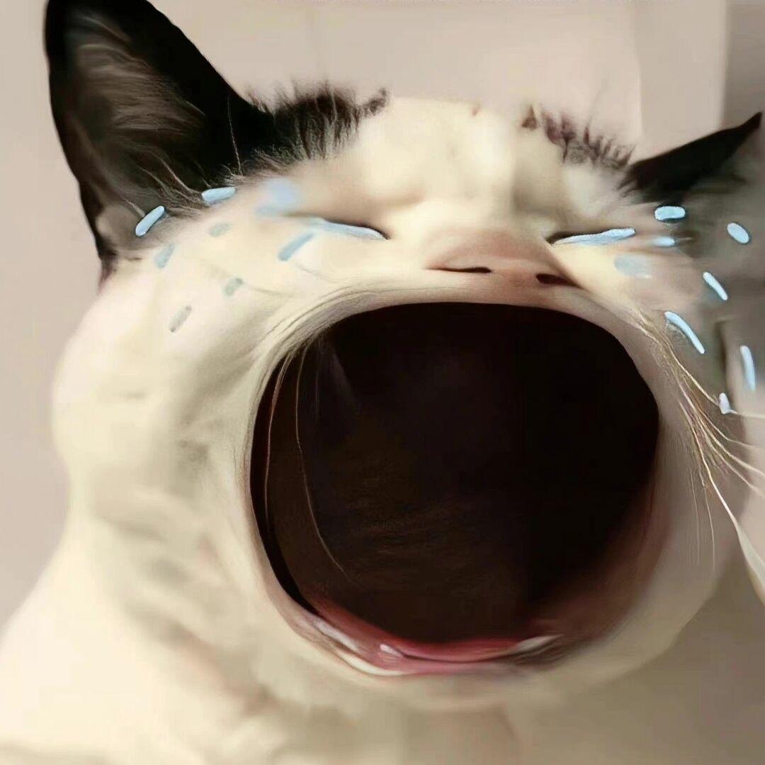 HAO
