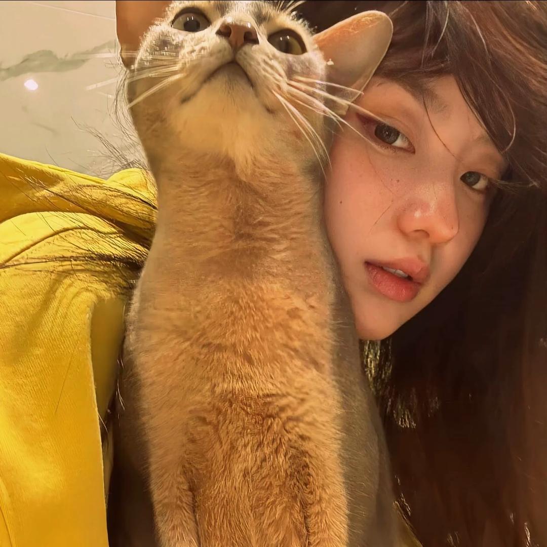 着迷I