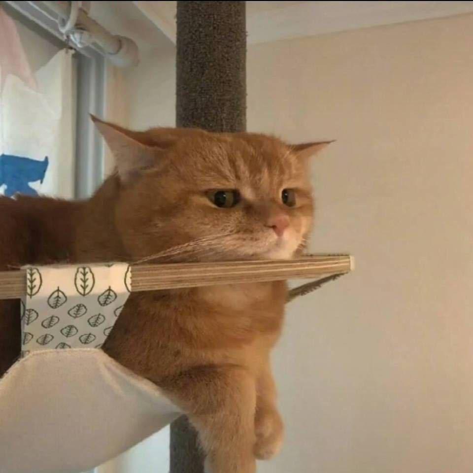 🫠