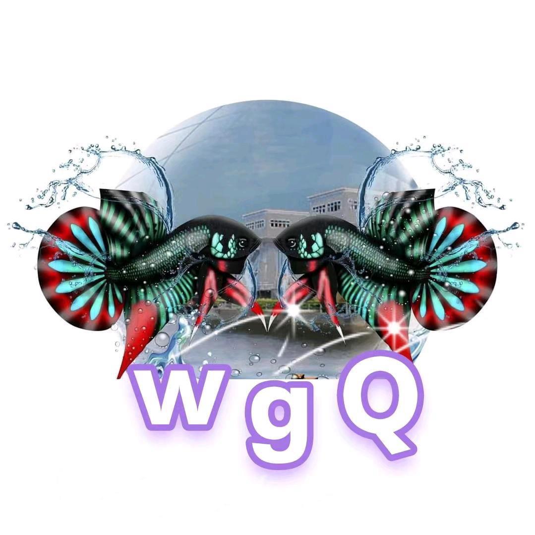 W.G.Q原斗专场