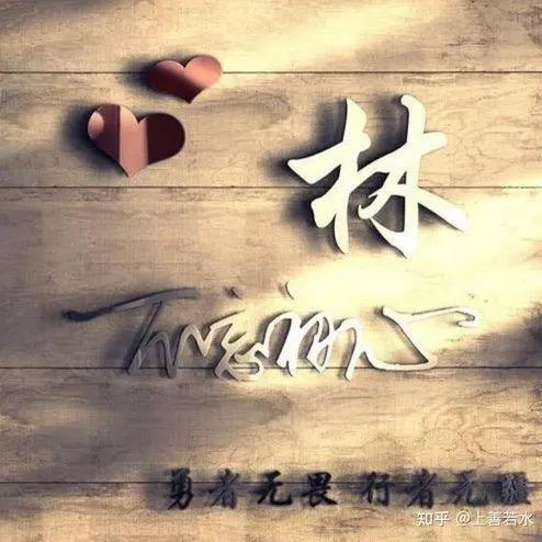 林金 3928