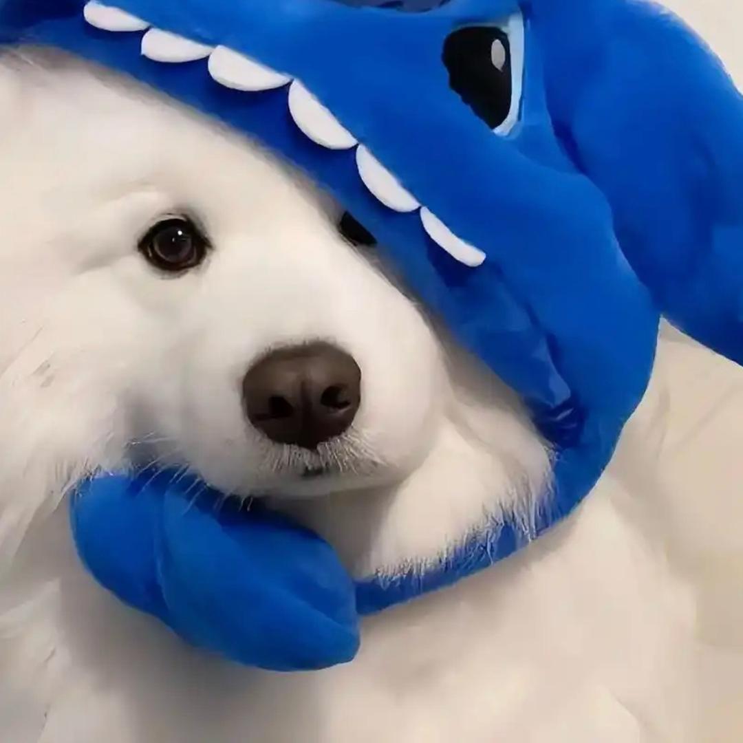 境遇