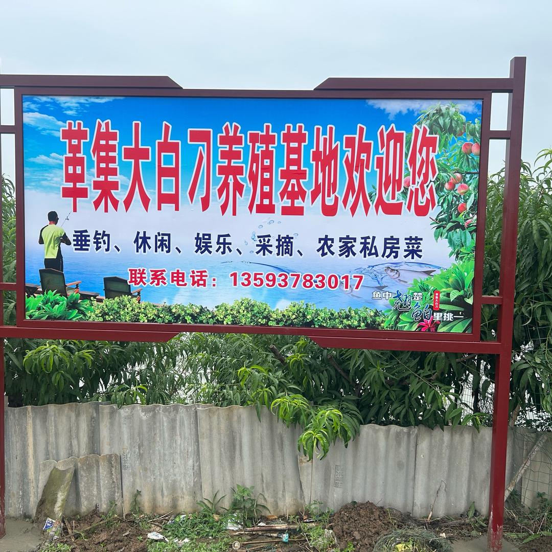 革集二组大白刁养殖基地