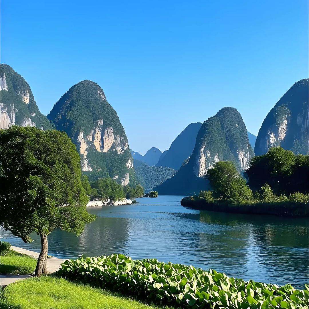 四叶草🍀☀️