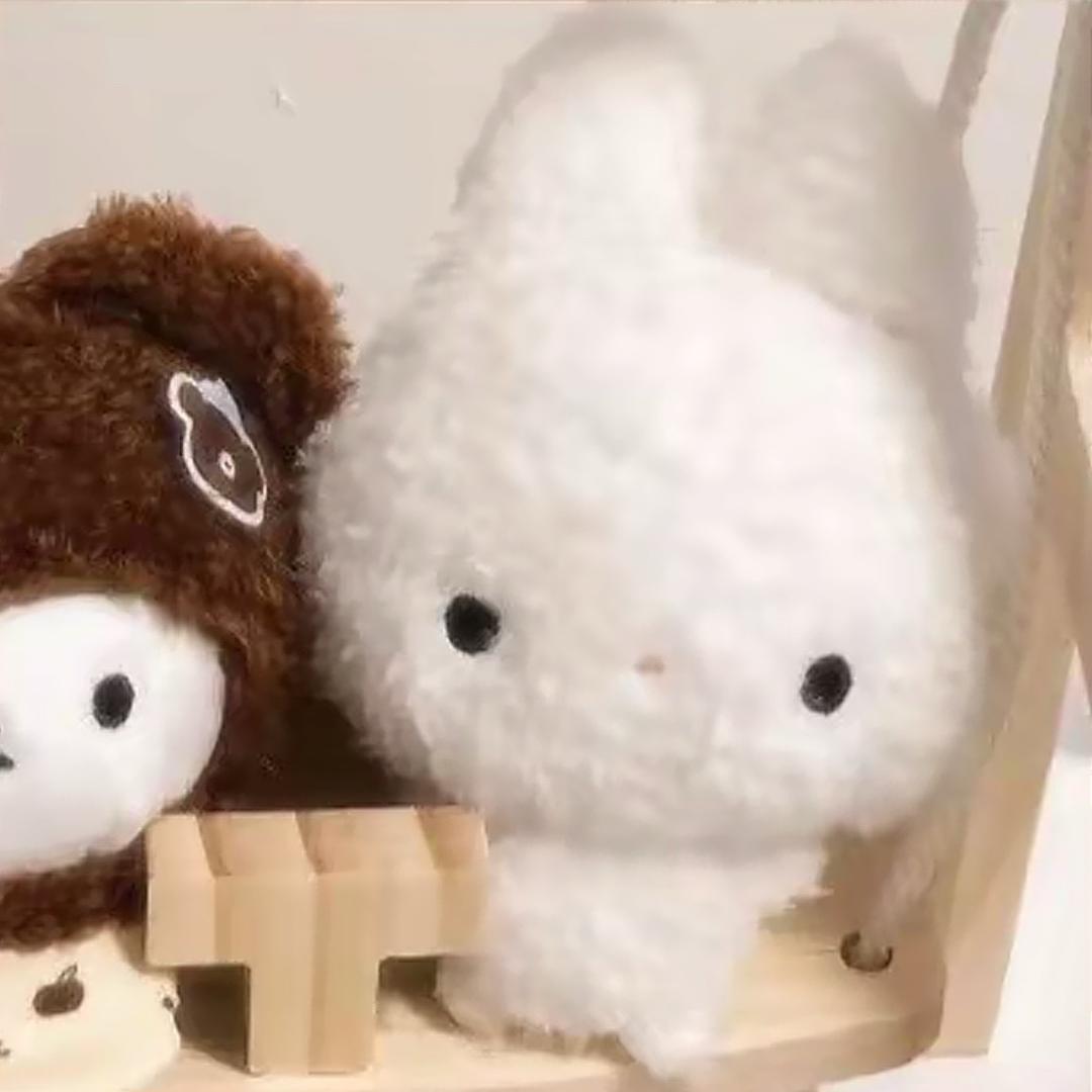 我不是小猪