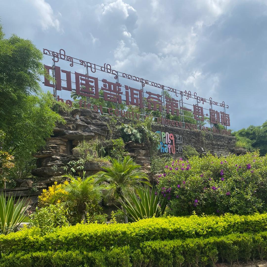 琼姐严选茶叶小号
