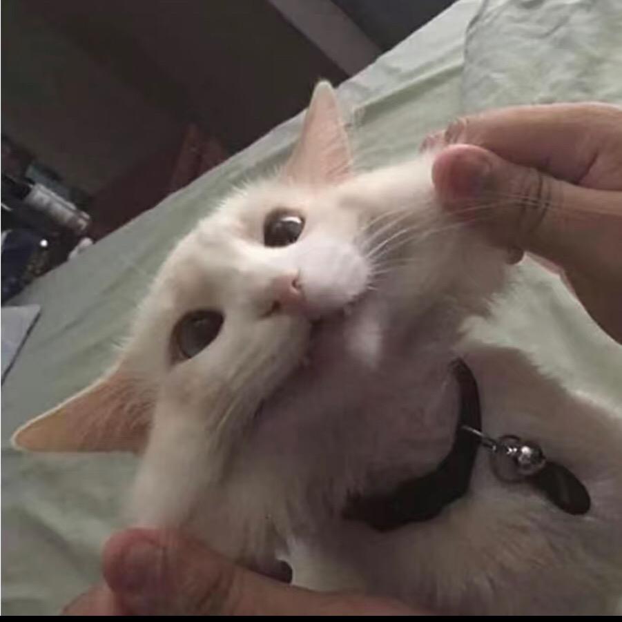 玉。米