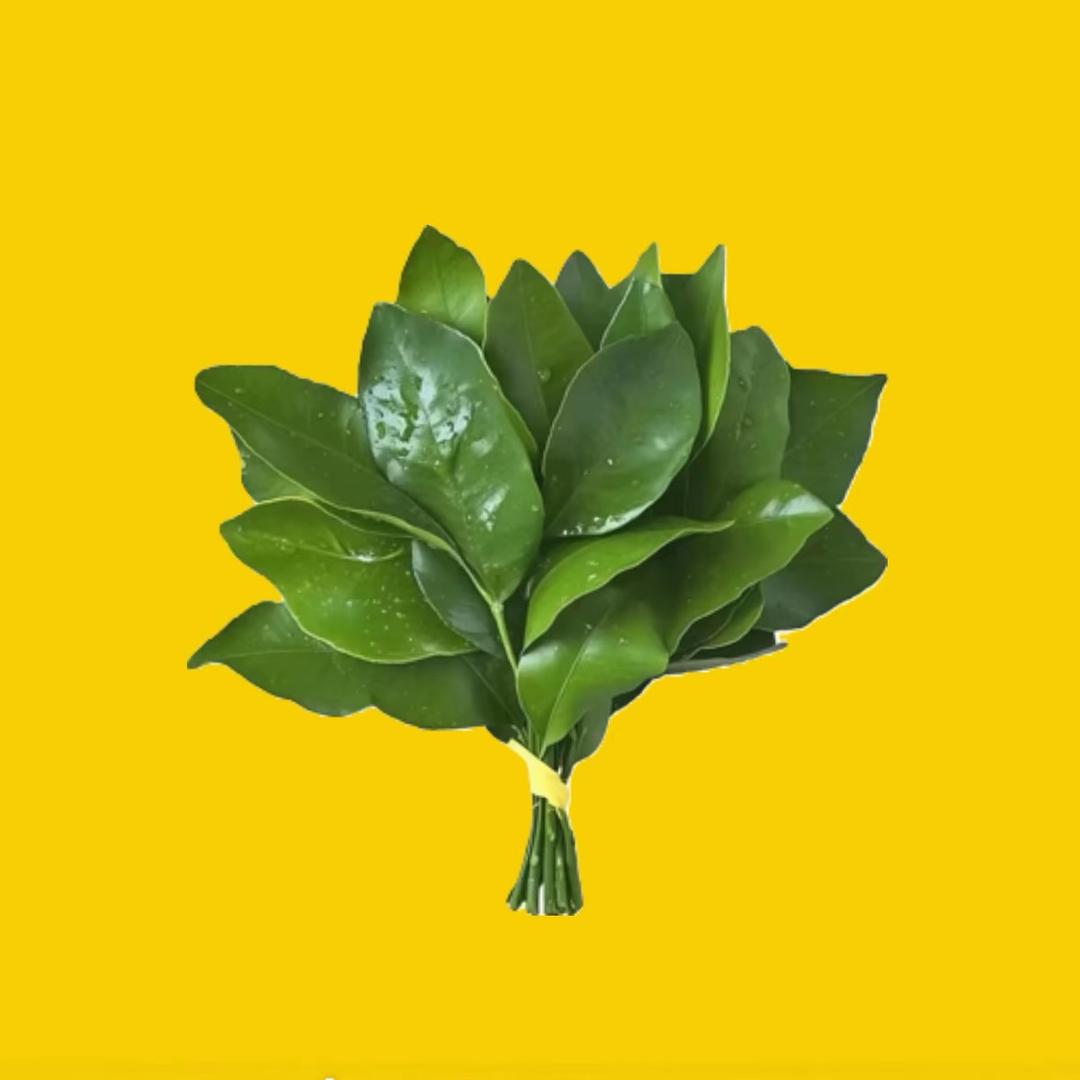 文帝