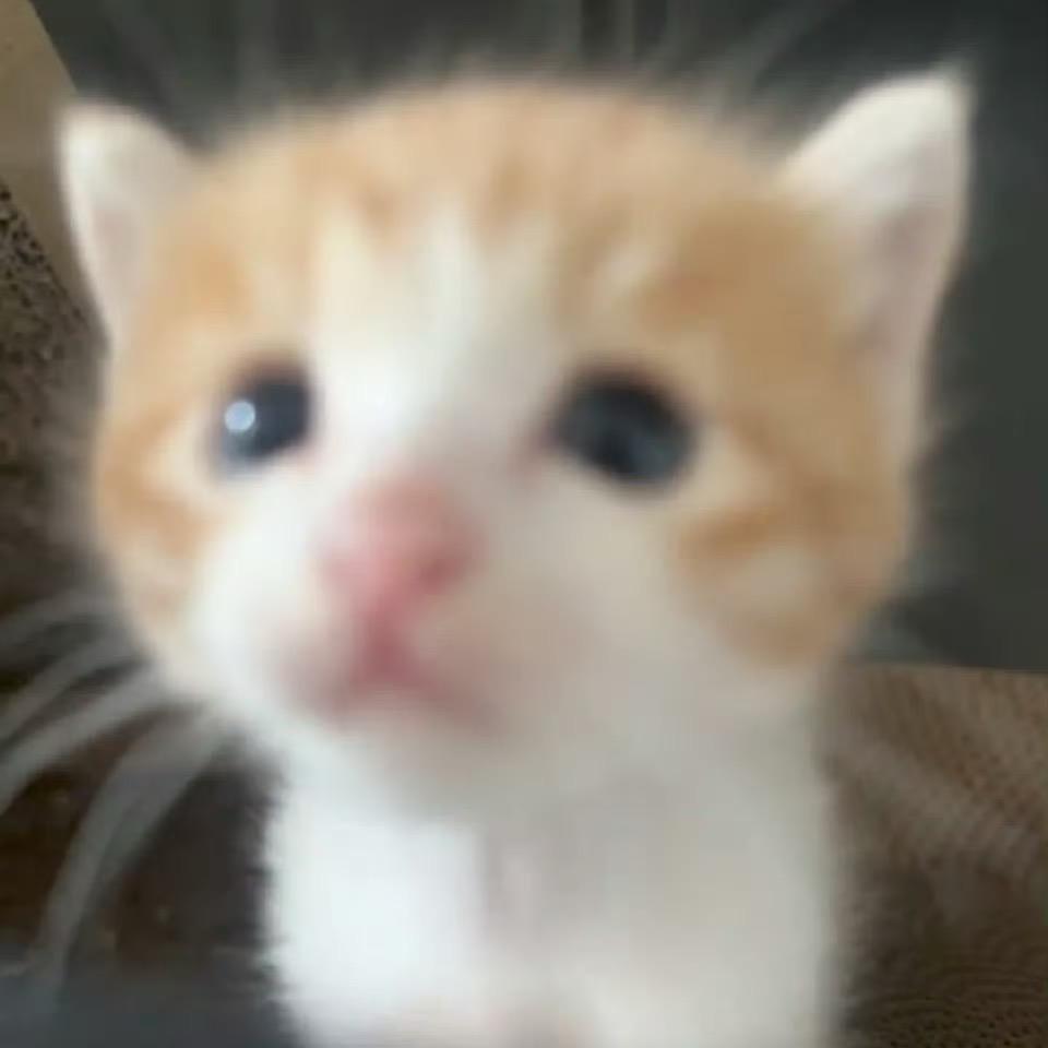 渔·