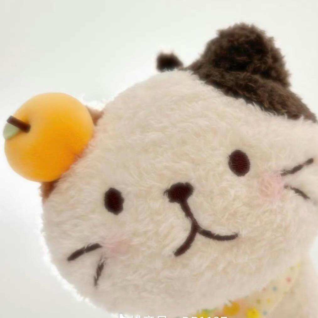 小c同学
