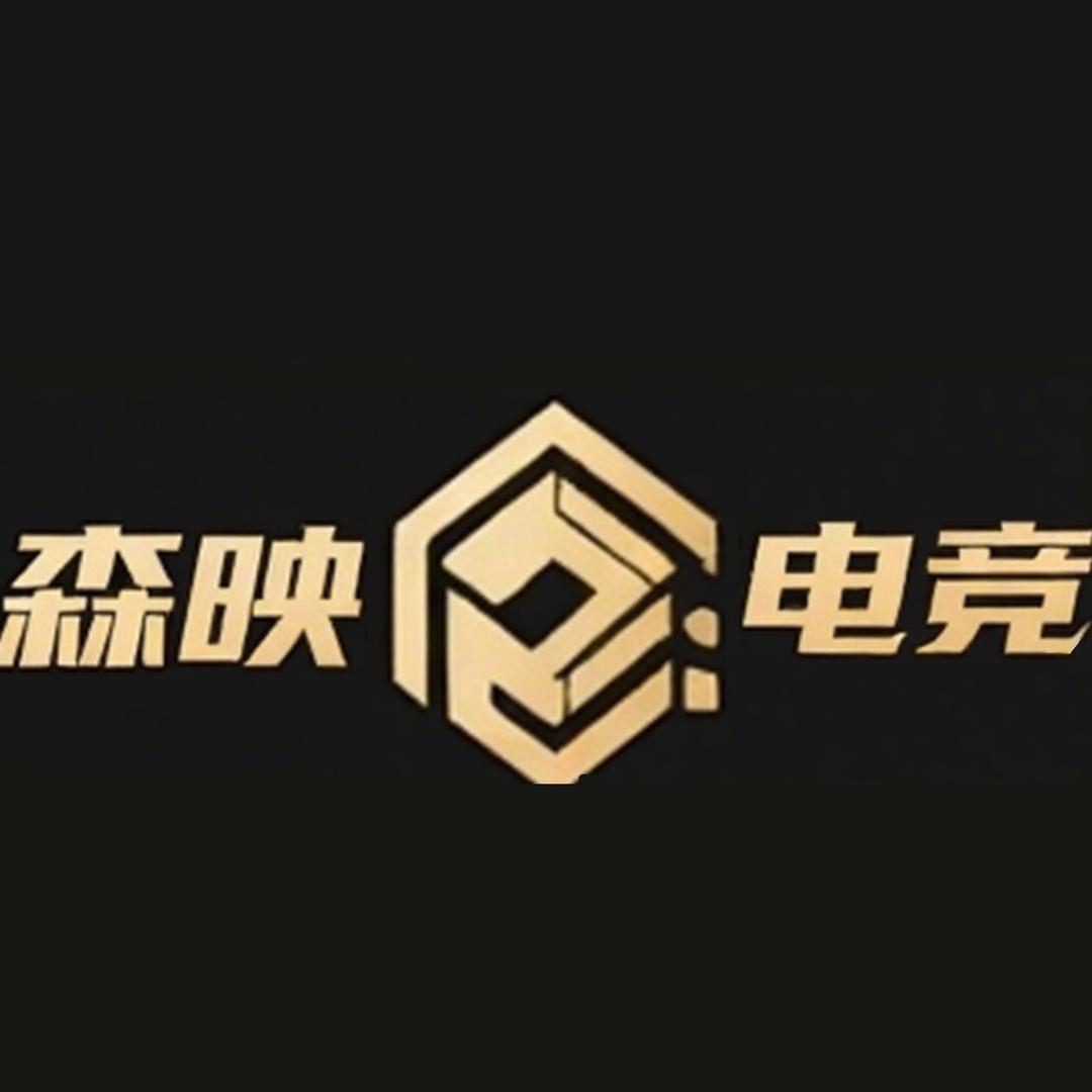 森映电竞小分队