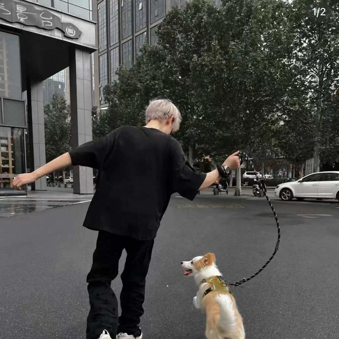 来份手抓饼