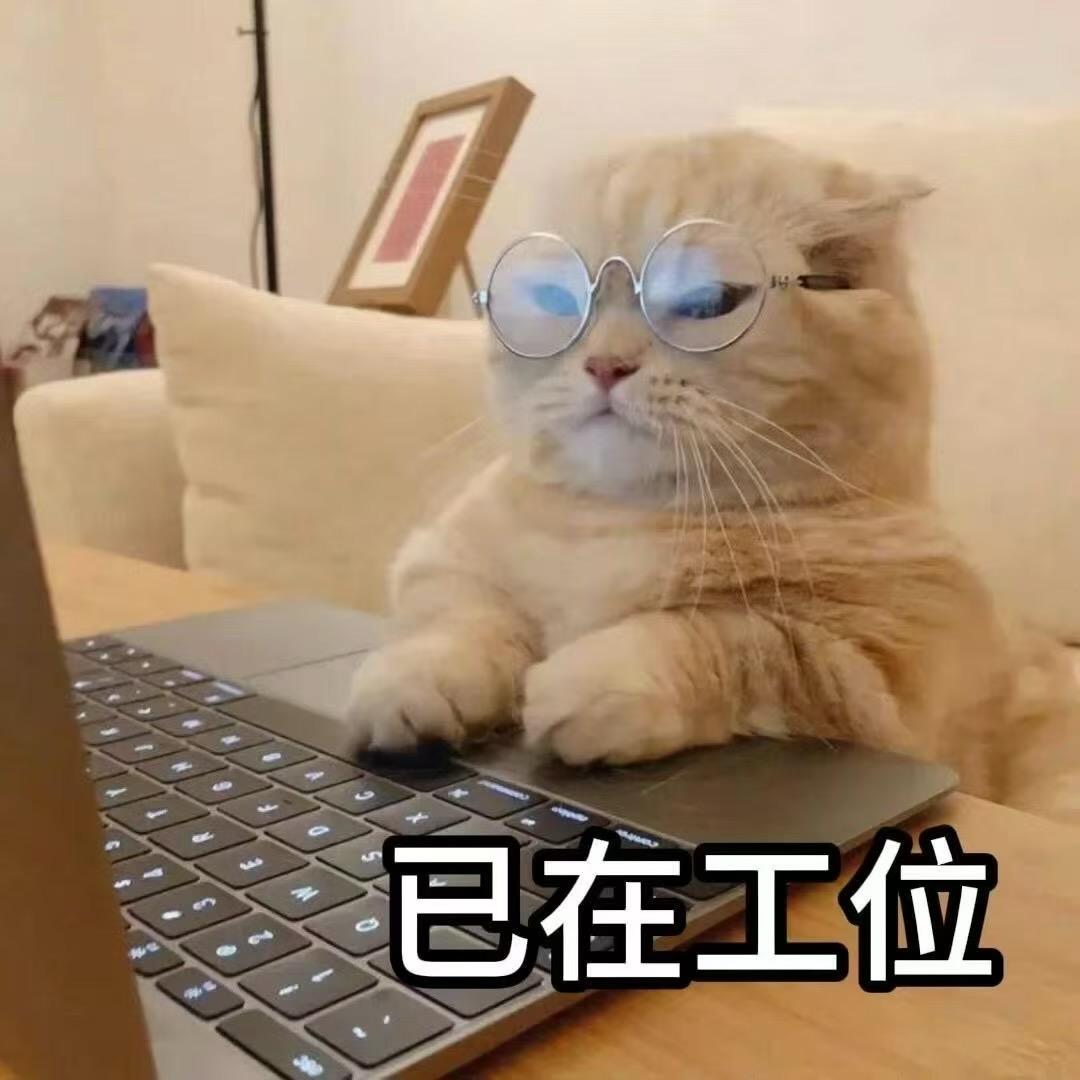 北巷以北