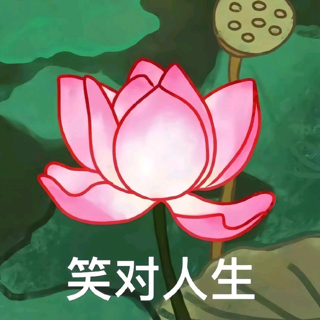 秋秋1