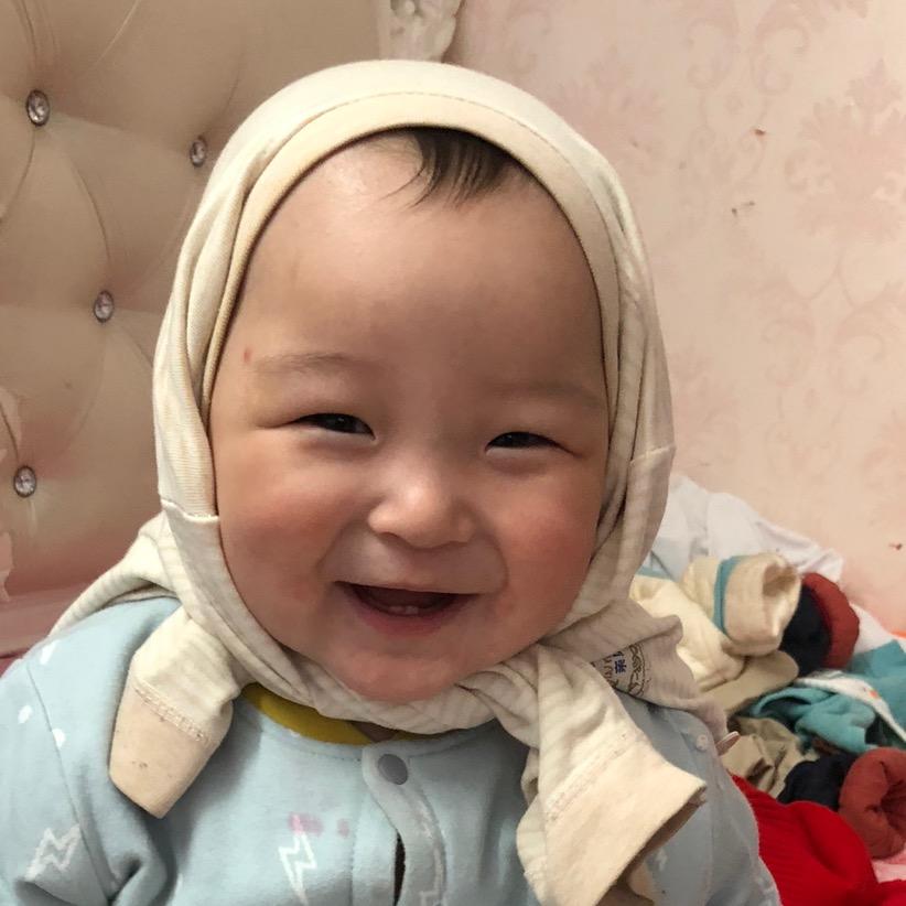 小只牛牛