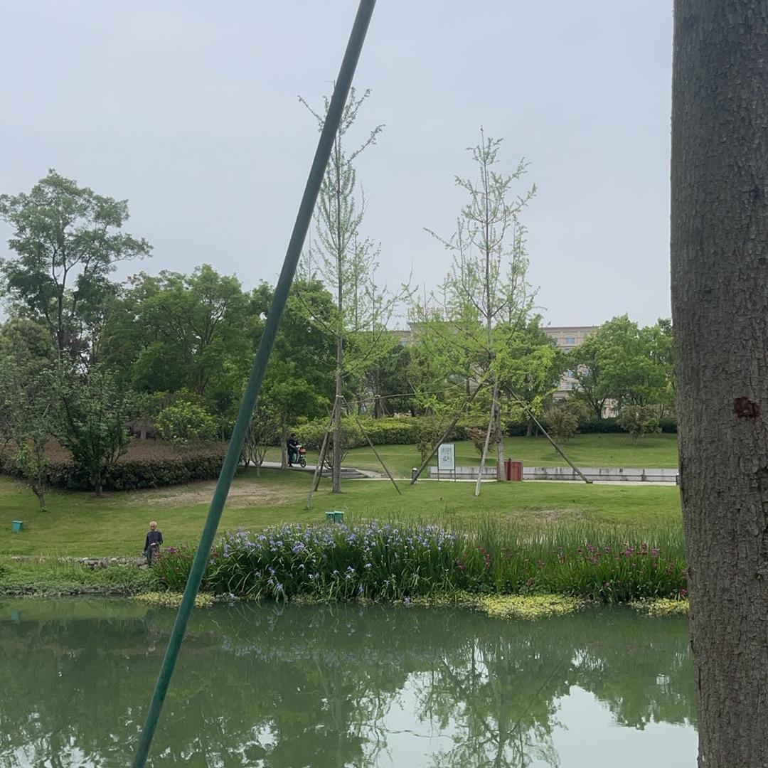 大爷