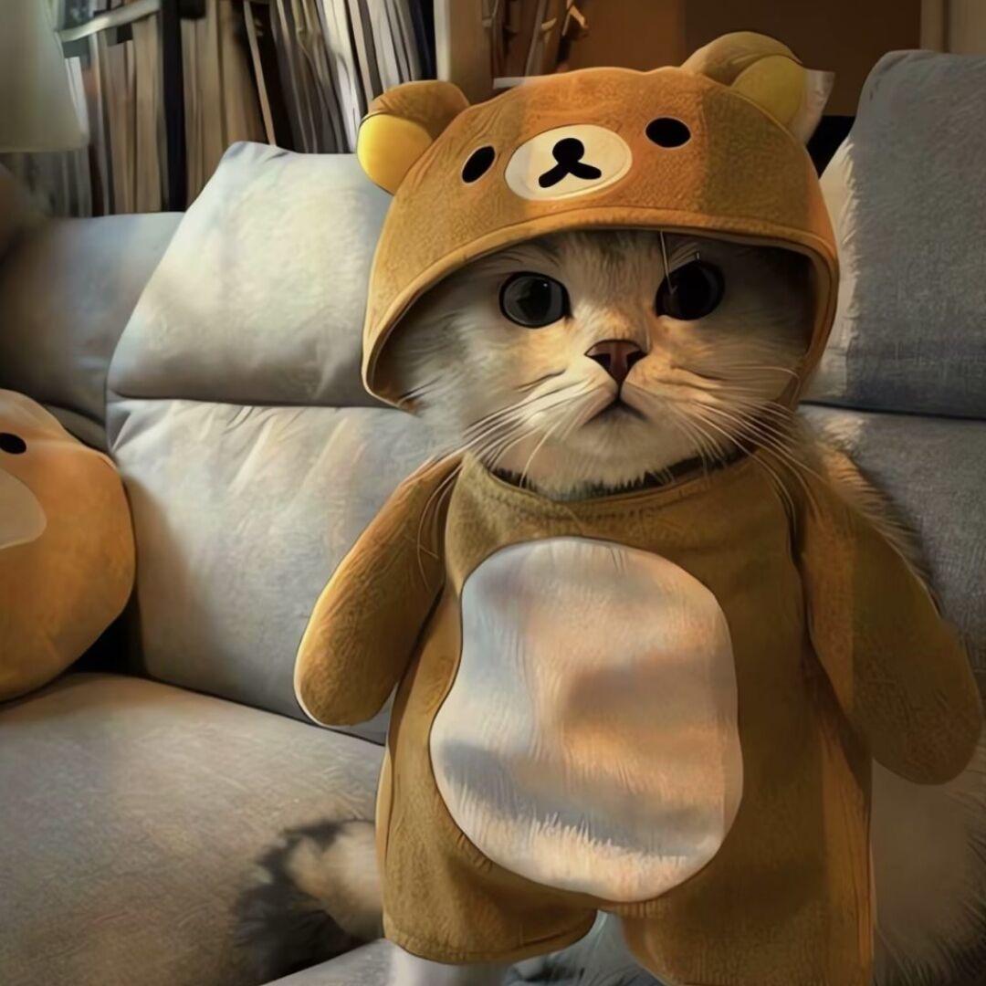 ^🧸