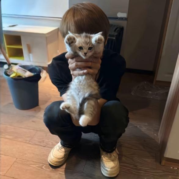 明天见_