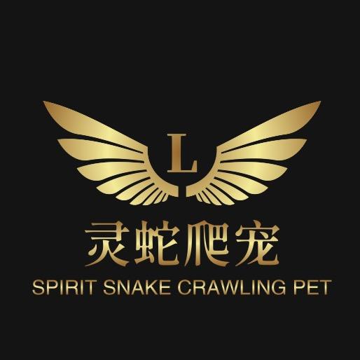 爬宠灵蛇王子