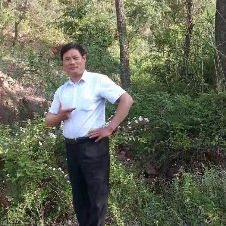 飘逸