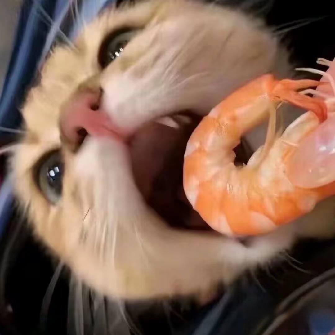 你怎么还不睡