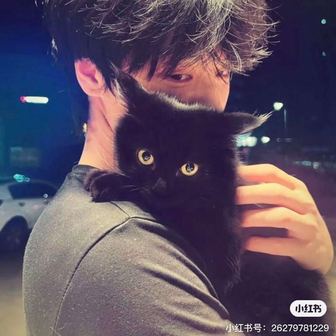 杰芭比