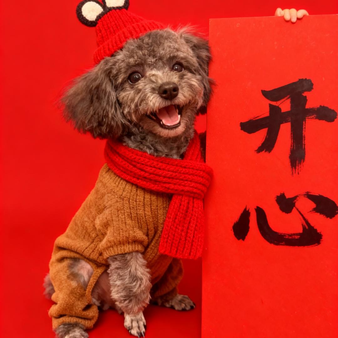 大迷糊的糖宝