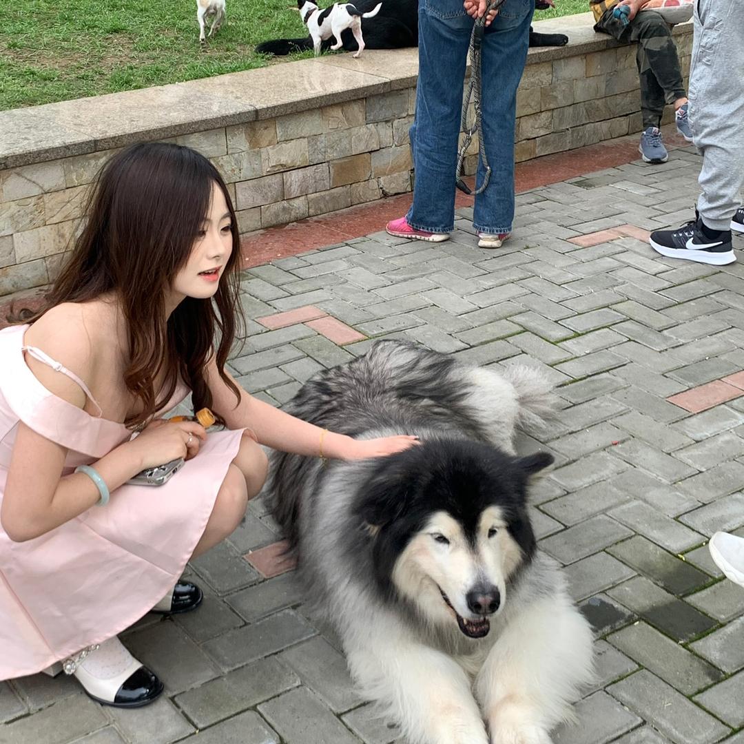 小程同学嘿