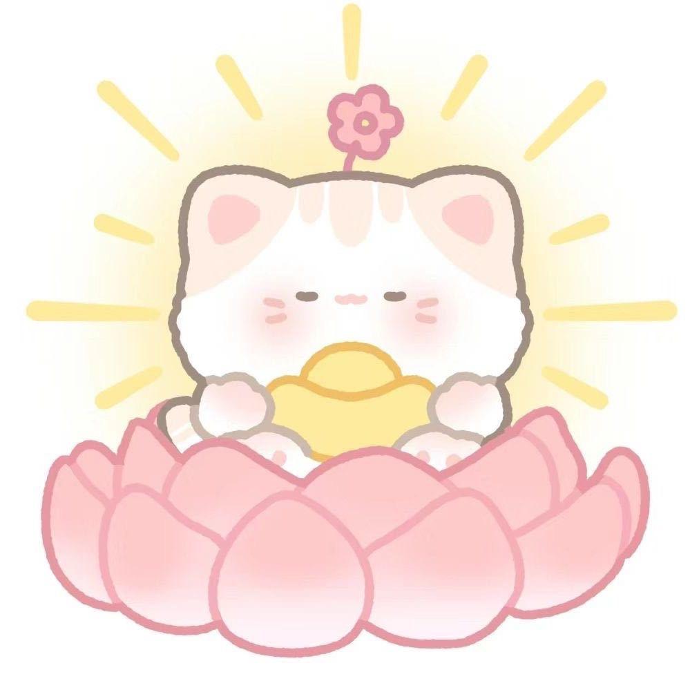 朱朱-