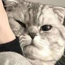想单杀小乐吗