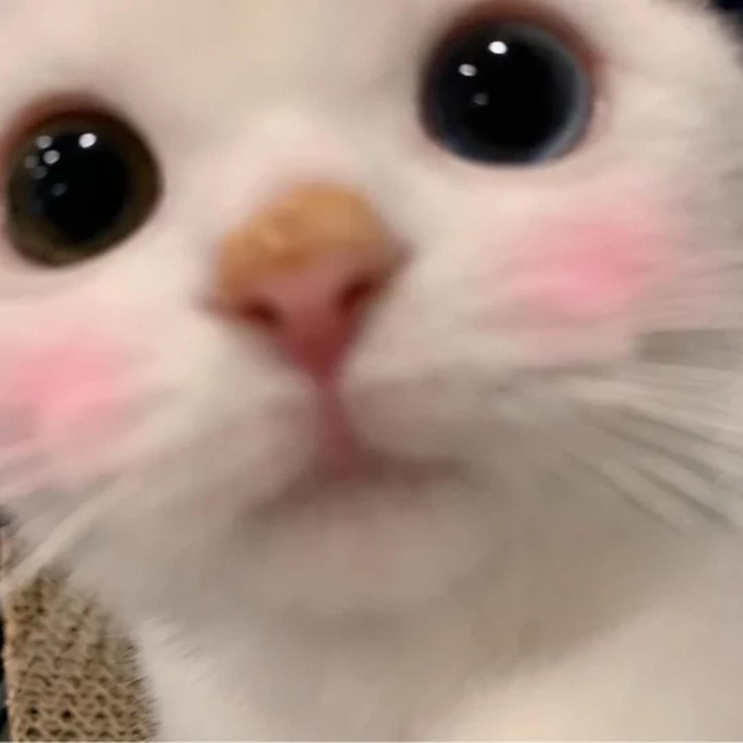 梦梦l